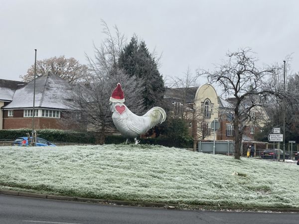 Christmas Cock